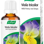 A.Vogel Viola Tricolor